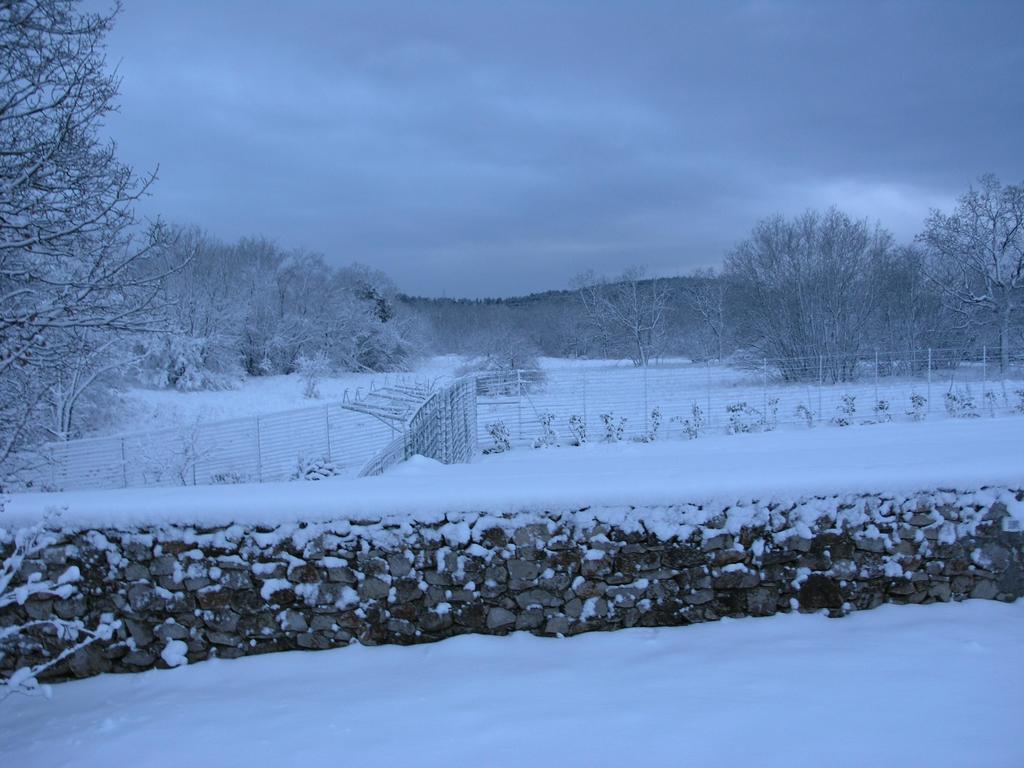 Stirenca B&B Triëst Buitenkant foto