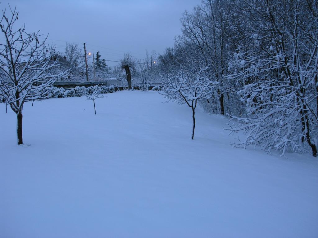 Stirenca B&B Triëst Buitenkant foto